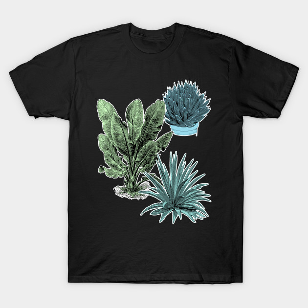 Tropical Plants | Succulent Banana Leaves